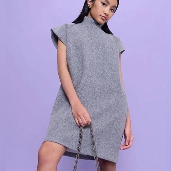 Zara Dresses & Skirts - Zara NWT Sleeveless High Collar Boxy Mini Dress In Gray Size Small